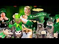 Celebrating St. Patrick’s Day with Critters!