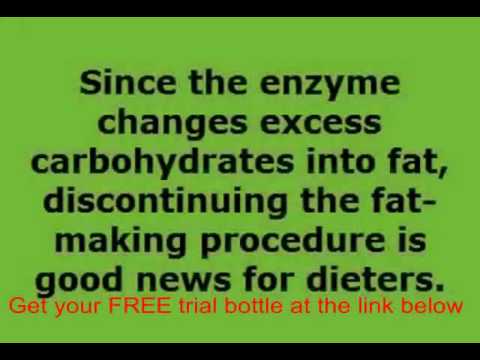 What is Garcinia cambogia fruit called in India?
