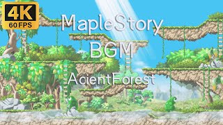 🍁4K60FPS MapleStory 新楓之谷 2-Hours Seamless Version BGM （AcientForest）Study asmr Enjoy