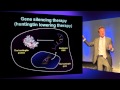 Huntington's Disease Research: What's New 2012 - Dr Ed Wild