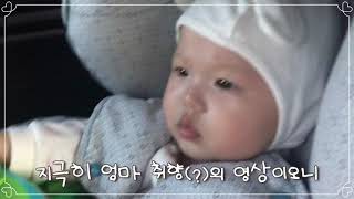 [5개월 아기🐥] 카시트에서 응가중🥲........ 171일 아가👶🏻