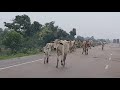 a road trip from kota to jhansi part 1 bad road