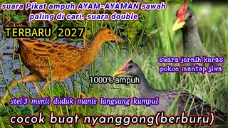 SUARA BURUNG AYAM-AYAMAN SAWAH| TERBARU 2022|1000%PIKAT AMPUH