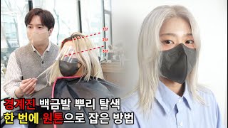 3단으로 경계진 '백금발 뿌리 탈색', 단 한번에 '원톤'으로 색 맞춘 방법