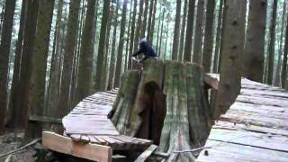 Woodlot - Karpenter around and through the stump