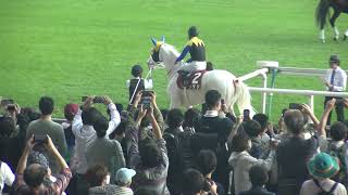 府中牝馬S(GⅡ) 現地 本馬場入り イズジョーノキセキ ソダシ アンドヴァラナウト サトノセシル アブレイズ  2022/10/15