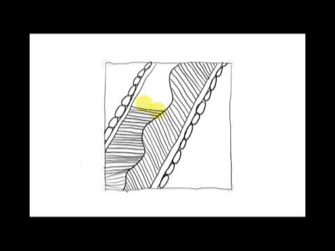 Zentangle Patterns Tangle Patterns Meer Youtube