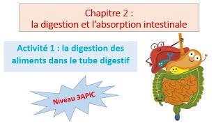 Niveau 3APIC / chapitre 2 la digestion et l'absorption intestinale