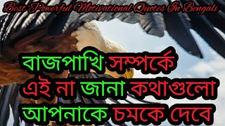 Best Motivational Quotes In Bengali//বাজপাখি সম্পর্কে না জানা এই কথাগুলো ঝটপট জেনে নিন।