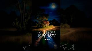 কুরআন তেলায়াত গভীর ঘুমের জন্য 😴😴🎧 #quran