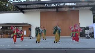 祭屋   桂浜  海のフラワークリスマス1部