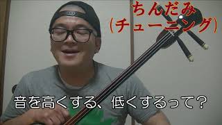 【完全解説】沖縄三線チューニング【チューナー見ながら】【ちんだみ】【BEB】