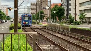 阪堺電車モ501形愛車5編成チャギントンラッピング浜寺駅前行き発車シーン