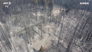 California, Berry Creek devastata dagli incendi