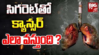 How Do Cigarettes Cause Cancer : సిగరెట్ తో క్యాన్సర్ ఎలా వస్తుంది ? | BIG TV Live