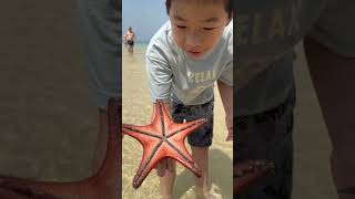 越南富國島 海星沙灘 starfish beach