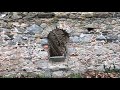 kirazlı manastırı erdek balıkesir