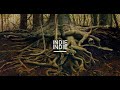 The Trees and The Wild - Our Roots