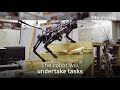 this blind robot can jump on your table and chase you in the dark even when its leg is broken