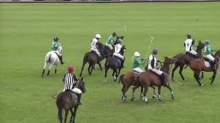 David Healy Trophy - Full Polo Match