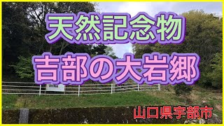 山口県宇部市　天然記念物　吉部の大岩郷