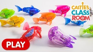 Learn Colors with Amazing Robot Fish! | Caitie's Classroom