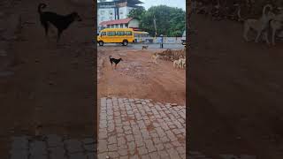 നിങ്ങൾക്ക് എവിടെ പോകണം#comedy #funny #funnyvideo #shortsfeed #shortsvideo #trending #viral #ytshorts