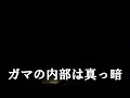 沖縄県庁最後の地、轟壕に行く。2022 12 12