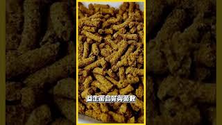 即拆即食益生菌飼料！照顧魚蝦健康更方便