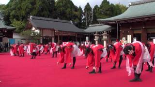 京小町 花柳 龍馬よさこい2009 護国神社