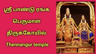 ஸ்ரீ பாண்டு ரங்க பெருமாள் திருக்கோயில் | Sri PanduRanga swamy Temple | Thennangur temple  #minivlog