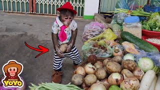 YoYo JR goes to the market to prepare a BBQ