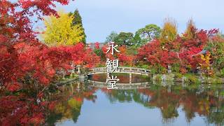 Autumn leaves at Eikando Hall are at their best in Kyoto