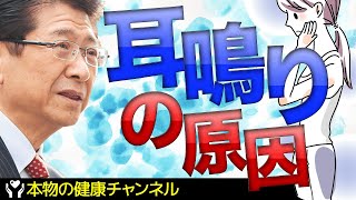 なぜ、耳鳴り・難聴は起こるの？