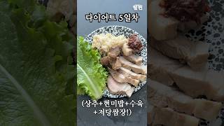 다이어트 중 최고의 선택 (개마싰음)