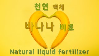 바나나 액체 비료(Natural liquid fertilizer) 돈 주고 사지 말고 만들어서 쓰자 천연 바나나 액비