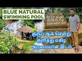 Blue natural swimming pool #Deltota #SriLanka #TamilVlog #TravelHunter