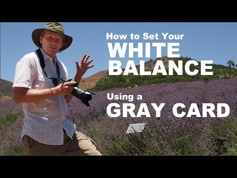 Set Your Camera White Balance with a Gray Card Set Your Camera White Balance with a Gray Card
