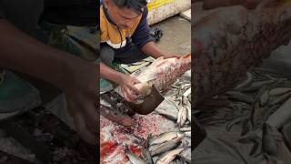 Carp fish cutting skills | Amazing fish cutting skills | Cutting fish skills #shorts