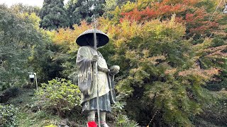 根香寺、白峯寺の紅葉