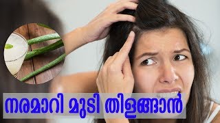 മുടിയുടെ നര മാറ്റാൻ ഒരു ആയുർവേദ കൂട്ട്  | How To Stop Gray And White Hair Natural Home Remedies