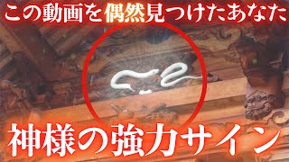 ⚠️視聴注意※神様に選ばれた人だけ表示されます【白蛇様の光とご利益】