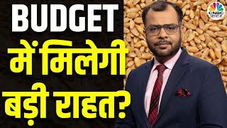 Budget Expectations| Wheat Price Updates |Market Supplies कैसी है? Demand में गिरावट की क्या है वजह?