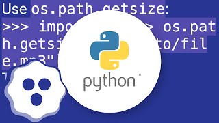 How do I check file size in Python?