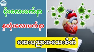 ပိုးလေးဖက်နှင့် နှလုံးလေးဖက်နာအကြောင်း (ဆေးပညာအသေးစိတ်)