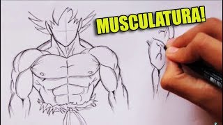 Como Dibujar Musculatura Estilo Dragonball -  How to Draw Dragonball Style Musculature