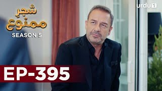 Shajar-e-Mamnu | Episode 395 | Turkish Drama  | Forbidden Fruit | Urdu Dubbing | 15 June 2022