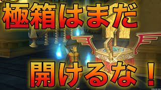 【DQ10】今極箱を開けると後悔するかも!?聖守護者第5弾の系統が全然わからん【ドラクエ10】