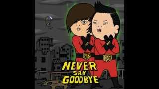 PSY(싸이)_Never Say Goodbye (Feat. 윤도현)