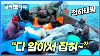 “걱정 말고 낮잠이나 주무셔” 매일이 만선인 아프리카 황금어장│그물 터지는 밤샘 조업 현장│아프리카 어부의 삶│탄자니아│세계테마기행│#골라듄다큐